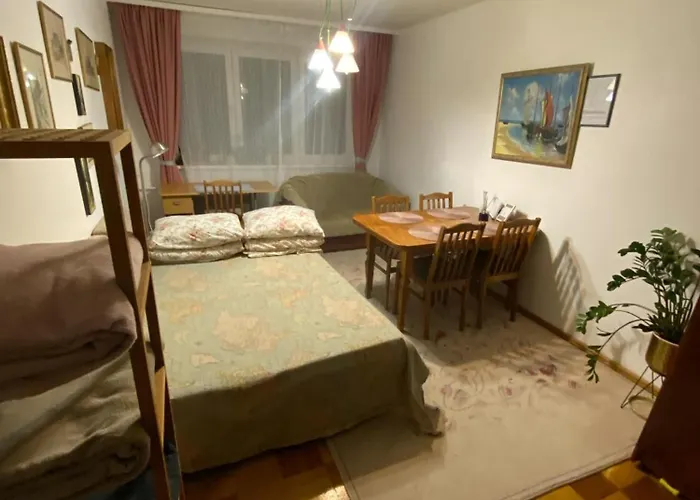 Idomus Bustas Ant Neries Skardzio