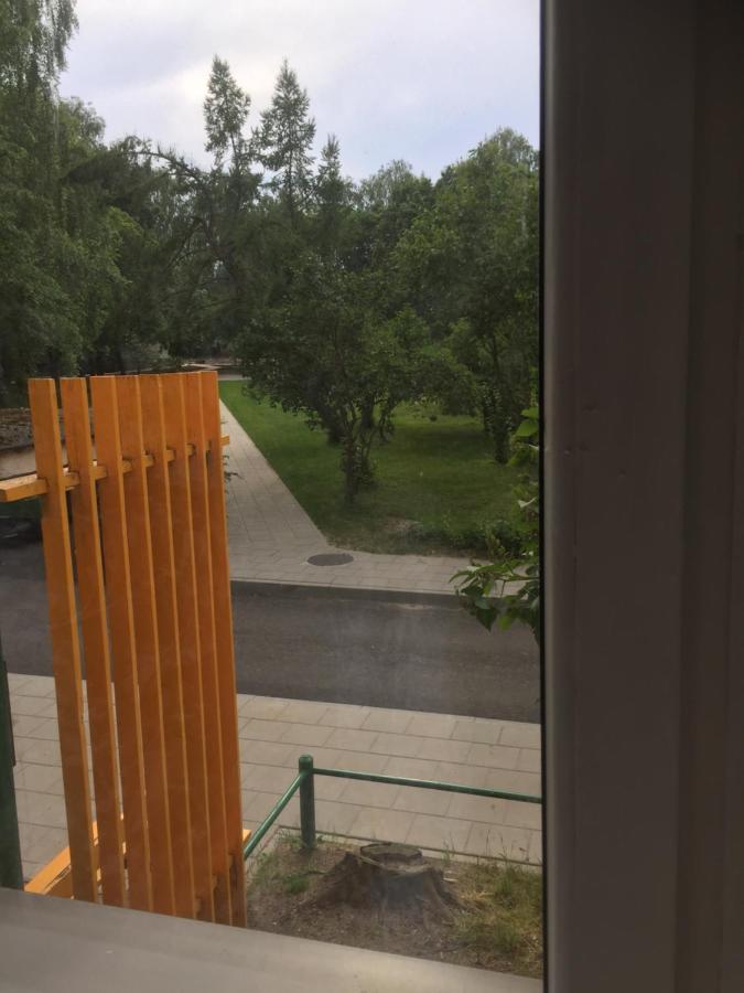 Idomus Bustas Ant Neries Skardzio